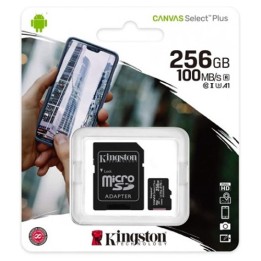 MicroSD 256 GB + Adattatore SD 100/20