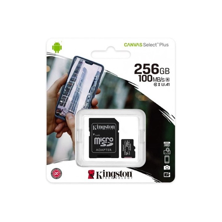 MicroSD 256 GB + Adattatore SD 100/20