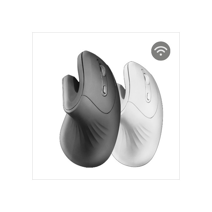 Mouse Wireless Verticale ergonomico senza fili colore nero