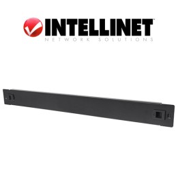 Pannello cieco Armadi Rack 19", 1U, in acciaio, Tooless a Clip Nero