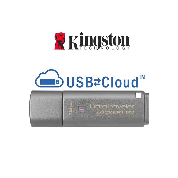 Pendrive 16 GB Locker+ Cloud Backup DTLPG3