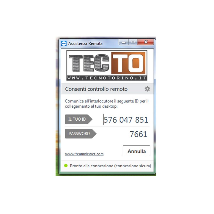 Assistenza Tecnica da Remoto per Clienti Privati