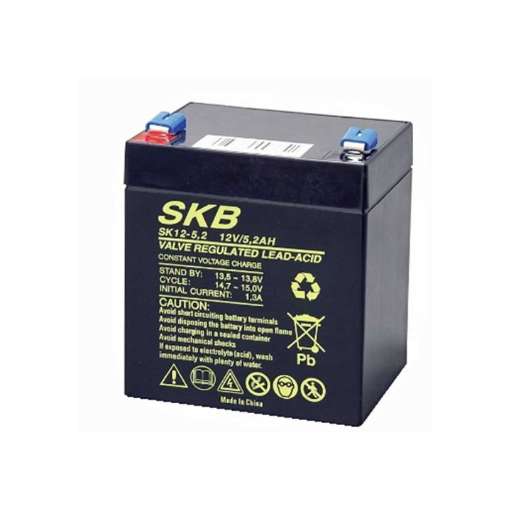 Batteria per UPS 12Volt 5,2Ah AGM