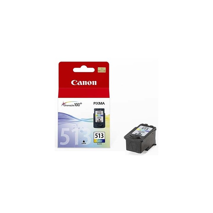 Cartuccia CANON CL-513 Colore 2971B001