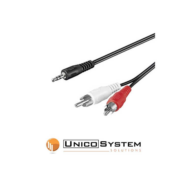 Cavo Audio Stereo Jack 3,5mm maschio - 2xRCA maschio - 2 metri