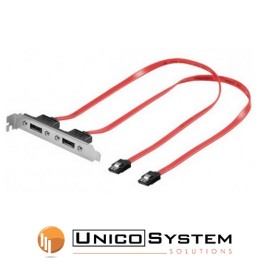 Cavo slot I-Sata a e-SATA 2 porte
